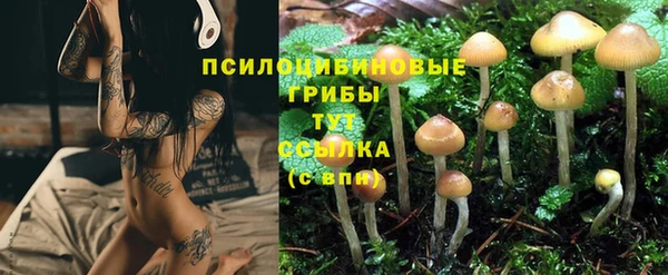 мет Алзамай