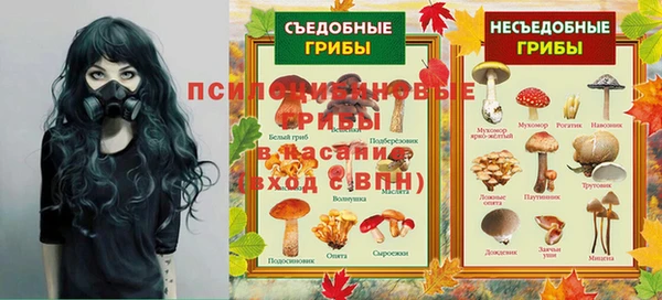 мет Алзамай