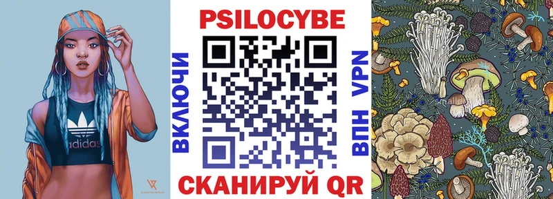Галлюциногенные грибы Psilocybe  цены наркотик  Майкоп 